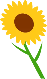 Dessin d'un tournesol