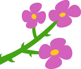 dessin d'une fleur de ronce